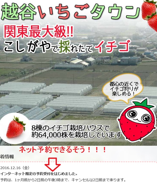 関東最大級！越谷いちごタウン！ネット予約ができるようになった！